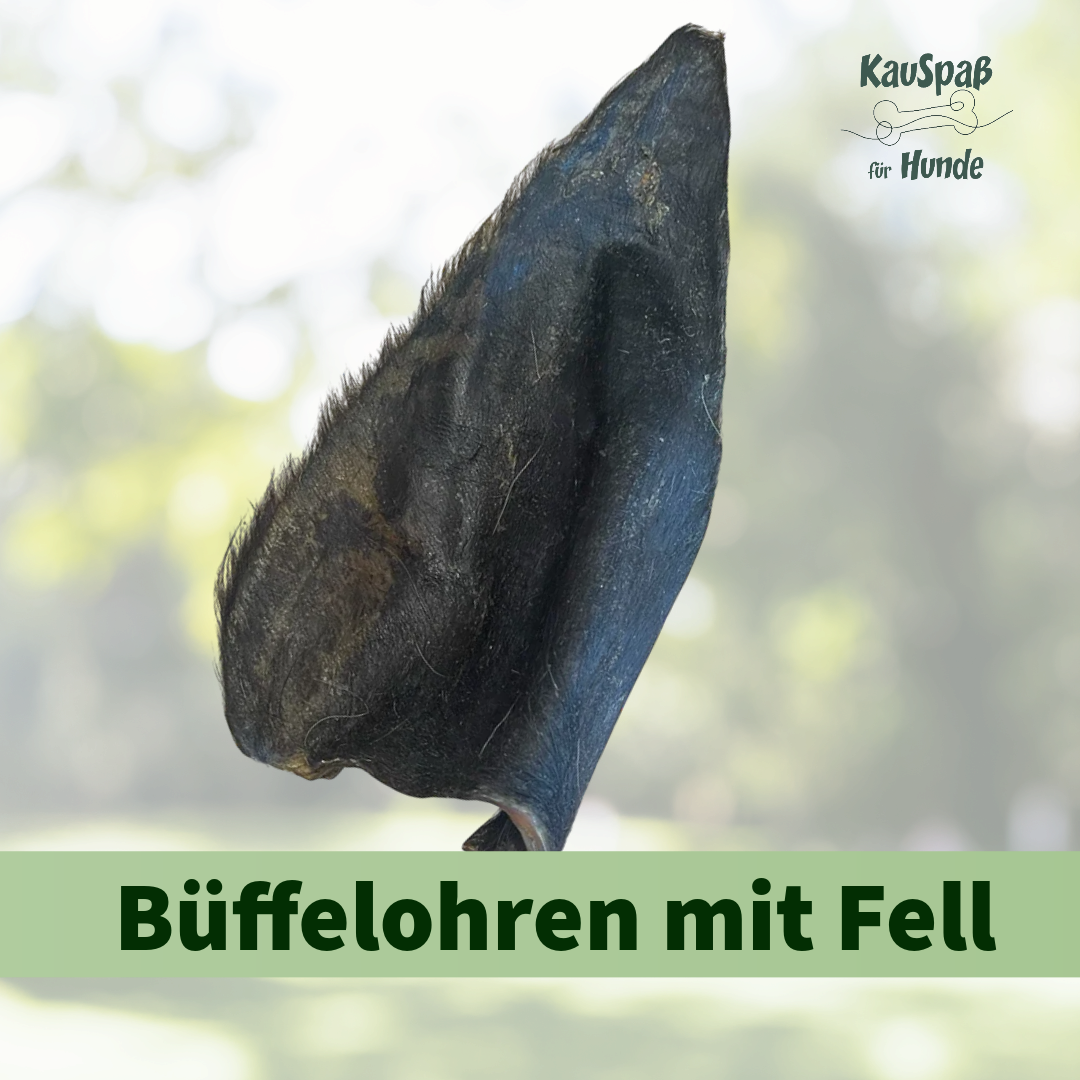 Kauartikel mit Fell – warum sie für Hunde so sinnvoll sind