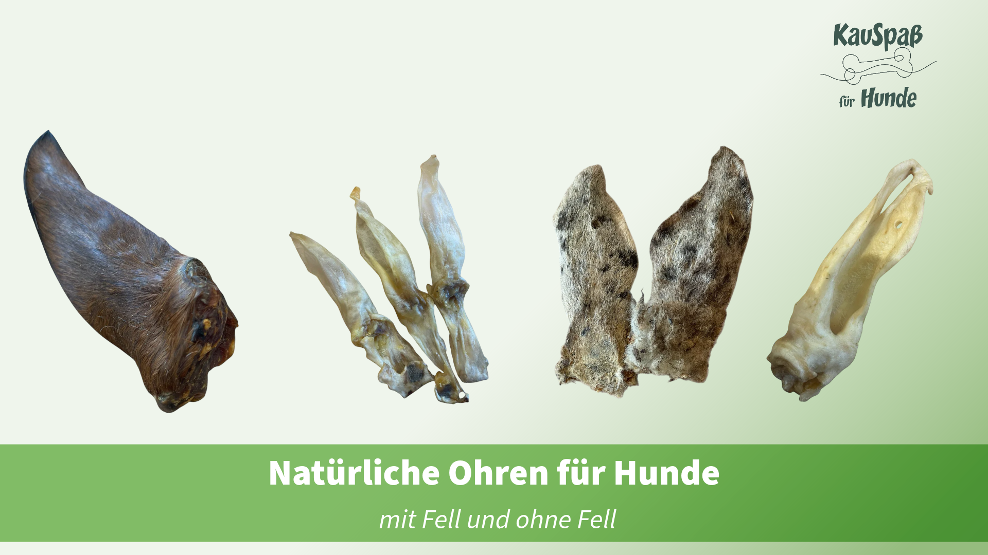 Ohren für Hunde – natürliche Kauartikel mit Fell und ohne Fell