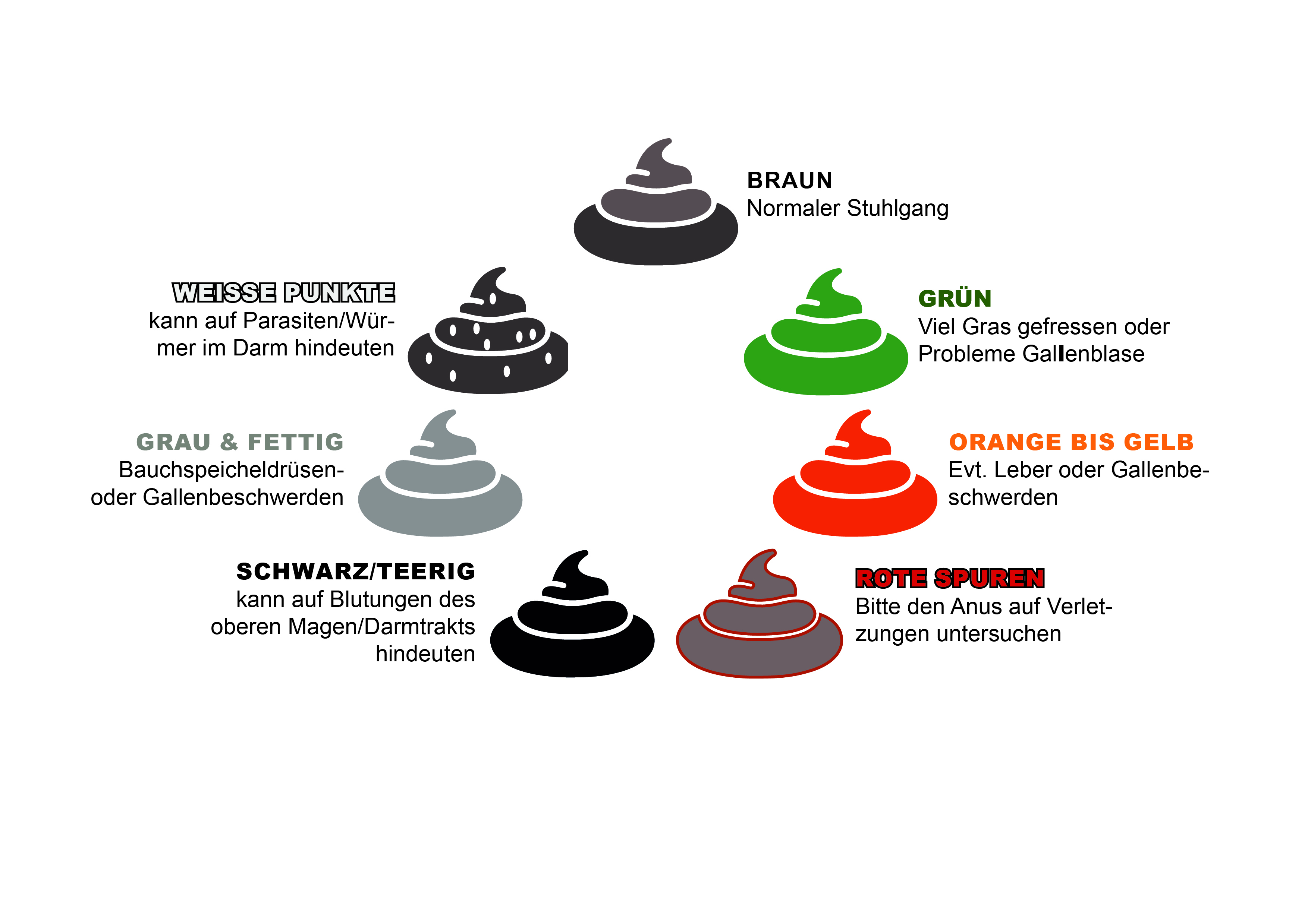 Hinterlassenschaften beim Hund